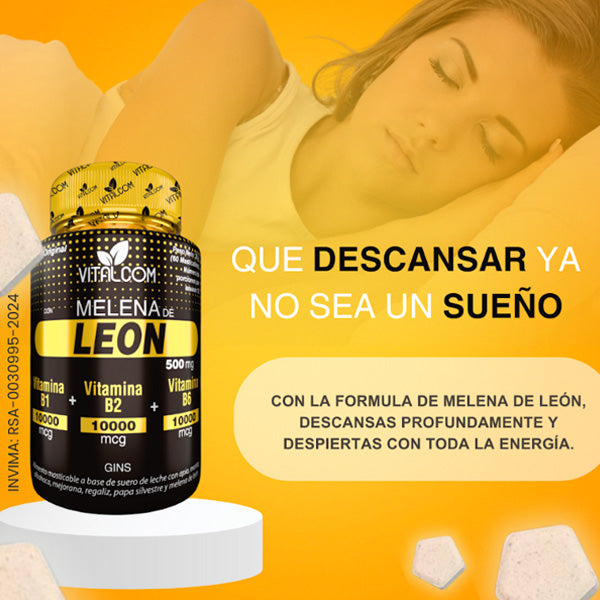 Melena de León x 60 cápsulas
