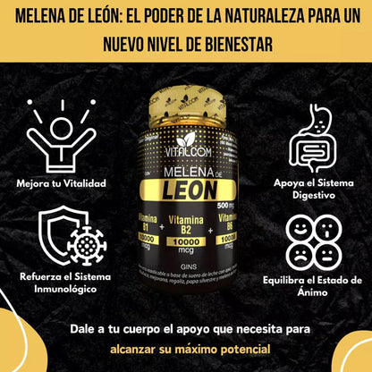Melena de León x 60 cápsulas