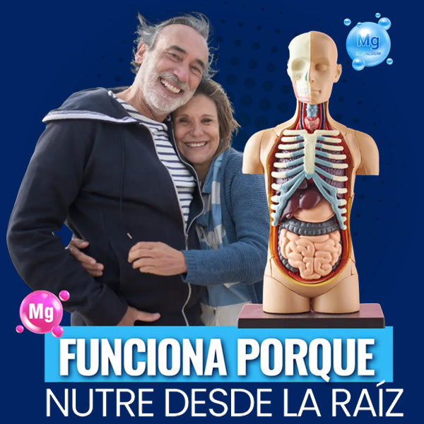 Citrato de Magnesio x 60 cápsulas