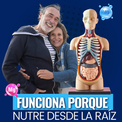 Citrato de Magnesio x 60 cápsulas