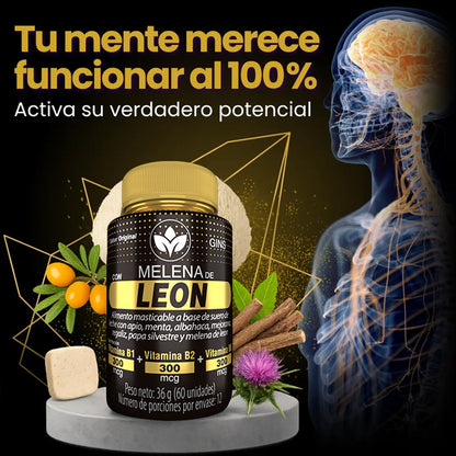 Melena de León x 60 cápsulas